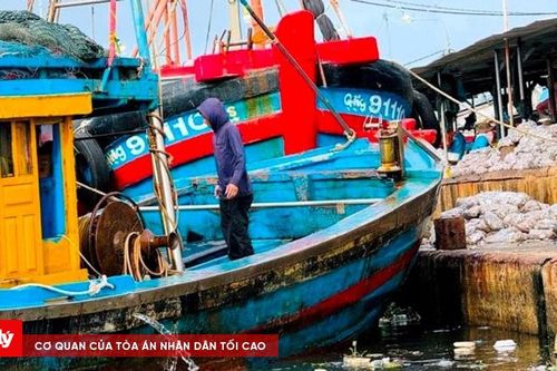 Quảng Ngãi: Ô nhiễm môi trường từ các cảng cá