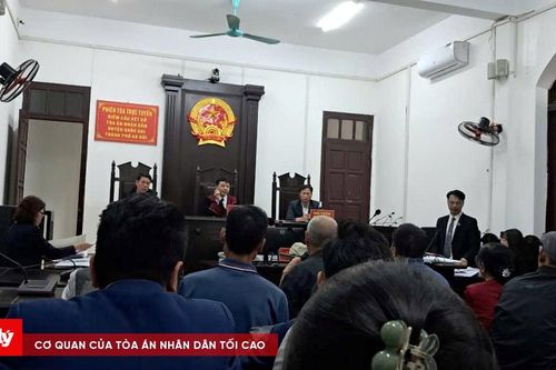 Hủy hoại tài sản trên đất rừng, 7 bị cáo lĩnh án