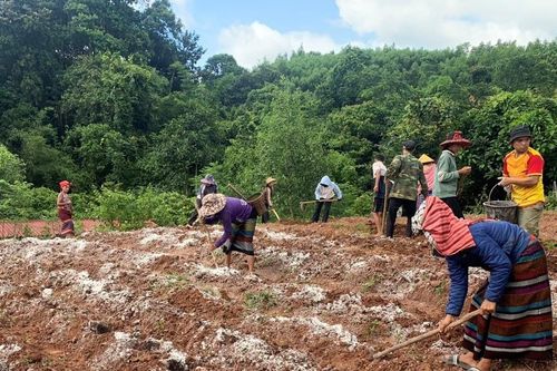 Tuyên truyền, vận động đồng bào Ma Coong giữ rừng, phát triển kinh tế