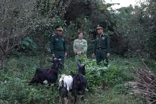 Tăng kết nối thông tin, giảm nghèo hiệu quả vùng biên viễn