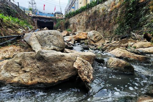 Vĩnh Phúc quyết hồi sinh suối Mơ trên đỉnh núi Tam Đảo