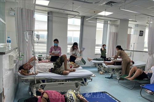 Vụ ngộ độc ở Bà Rịa-Vũng Tàu: Xử phạt chủ cơ sở bánh mì - xôi Cô Ba Bến Đình