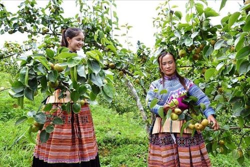 Phát huy hiệu quả các Chương trình mục tiêu quốc gia tại vùng đồng bào dân tộc thiểu số