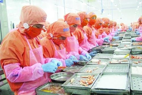 Xuất khẩu hàng hóa sang EU, doanh nghiệp đừng quên thực hiện trách nhiệm xã hội