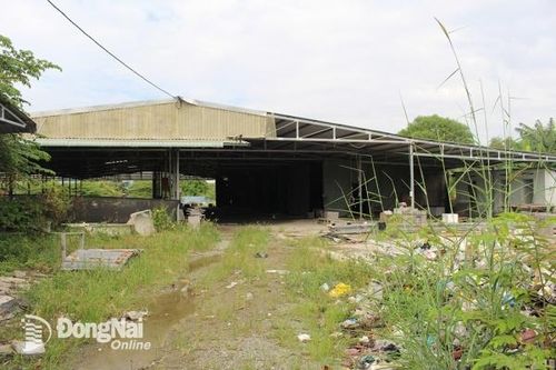 Một người dân ở Biên Hòa phải nộp phạt gần 500 triệu đồng vì cho thuê đất hết thời hạn sử dụng