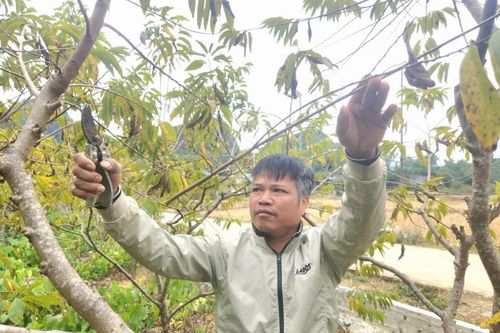 Thượng Cường: Đa dạng mô hình sản xuất, giảm nghèo bền vững