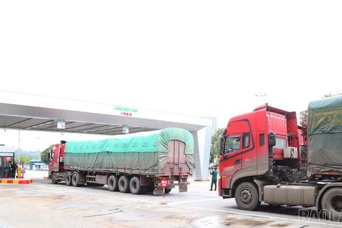 Lào Cai: Giá trị xuất - nhập khẩu 11 tháng đạt trên 3,2 tỷ USD