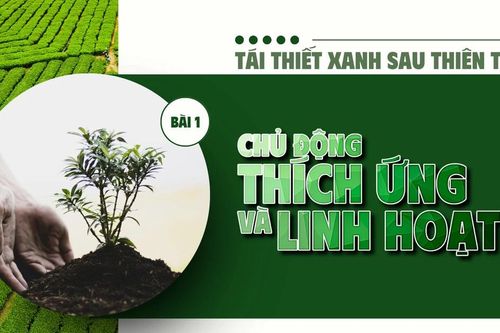 Bài 1: Chủ động thích ứng và linh hoạt
