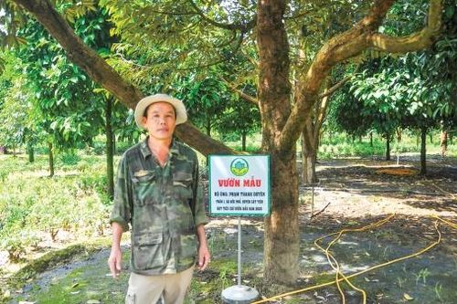 THÀNH LẬP HUYỆN ĐẠ HUOAI MỚI : Hướng đến một vùng sản xuất nông nghiệp sạch