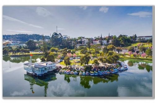 30 chiếc xe điện chở khách khám phá Hồ Xuân Hương miễn phí dịp Festival Hoa