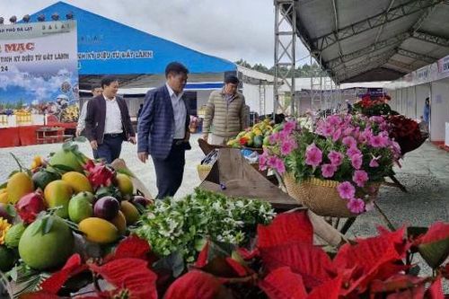Bí thư Thành ủy Đà Lạt kiểm tra các công trình phục vụ Festival Hoa Đà Lạt lần thứ X