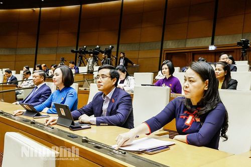 Đoàn ĐBQH tỉnh nỗ lực làm tròn trọng trách đại biểu dân cử