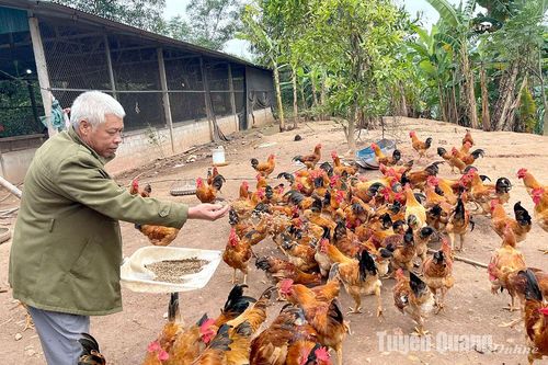 Lợi ích kép từ nuôi sâu canxi