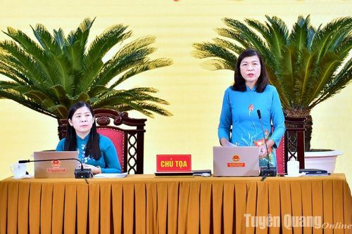 Kỳ họp thứ 9 HĐND tỉnh tiến hành phiên thảo luận