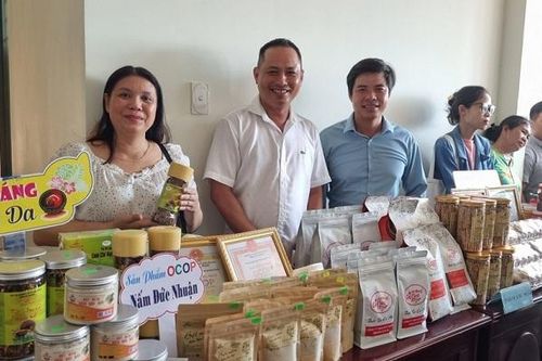 Quảng Ngãi: Số hóa nông nghiệp là hướng đi tất yếu