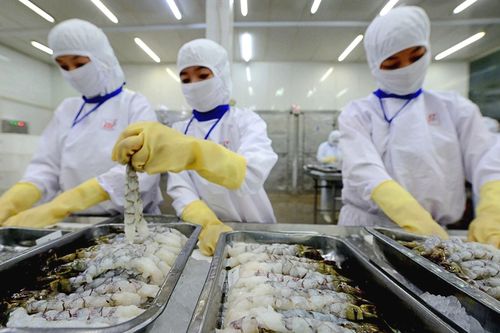 Thực phẩm Sao Ta (FMC) đã vượt 9% kế hoạch kinh doanh năm, kỳ vọng có khoản lãi khác