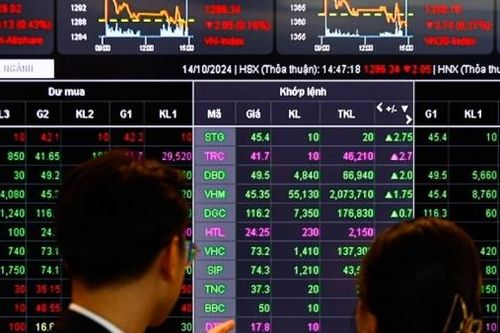 Chỉ số ngành công nghệ thông tin và chăm sóc sức khỏe tăng trưởng khá trong tháng 11/2024