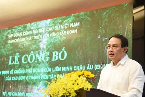 Nhiều đơn vị của Tập đoàn Cao su Việt Nam chủ động thích ứng với quy định chống phá rừng của Liên minh châu Âu
