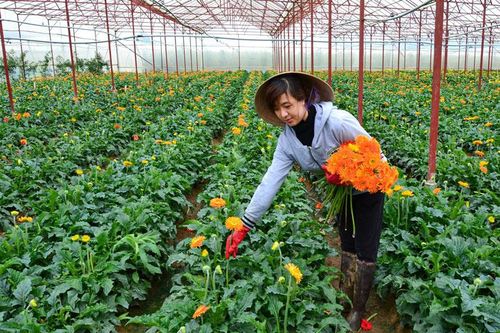 Để khai thác hiệu quả nguồn lực từ Luật HTX 2023