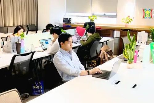 Nghề Freelancer: tự do hay nhiều nỗi lo?