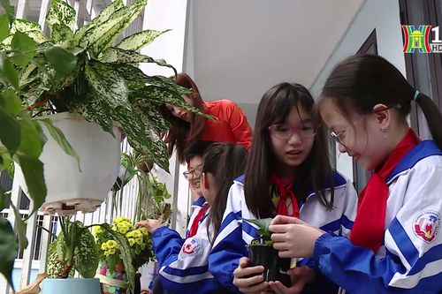 Lan tỏa mô hình trường học xanh và sinh thái