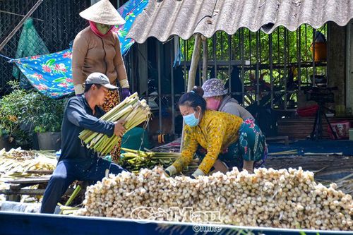 Nông dân khởi nghiệp sáng tạo