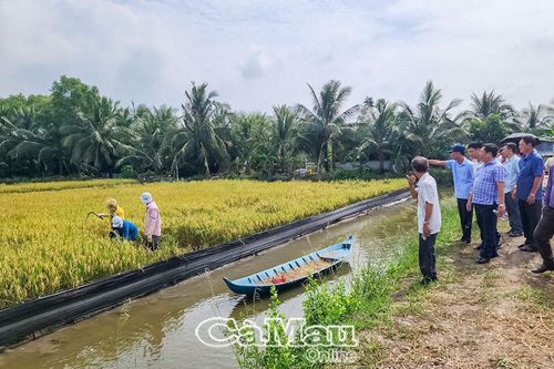 Tạo điều kiện lao động tốt hơn cho nữ nông dân