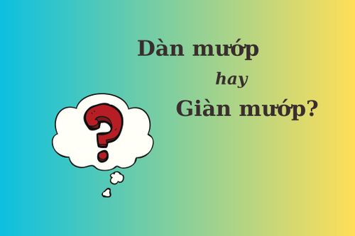 Thử thách Tiếng Việt: 'Dàn mướp' hay 'giàn mướp'?