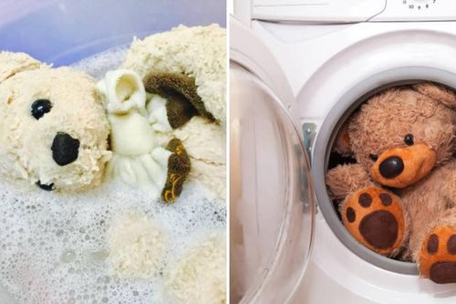 Cách giặt gấu bông cỡ lớn