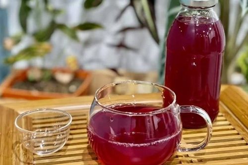 Uống nước tía tô có giảm cân?