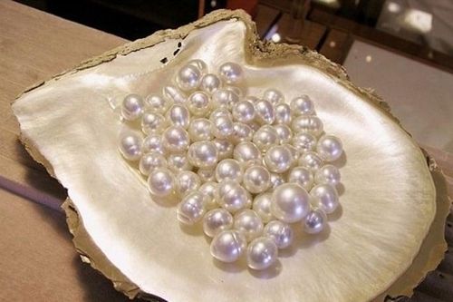 Nơi nào được mệnh danh là 'xứ sở ngọc trai' của Việt Nam?