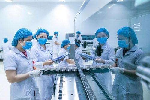 Bước tiến vượt bậc của Trung tâm Huyết học - Truyền máu Nghệ An