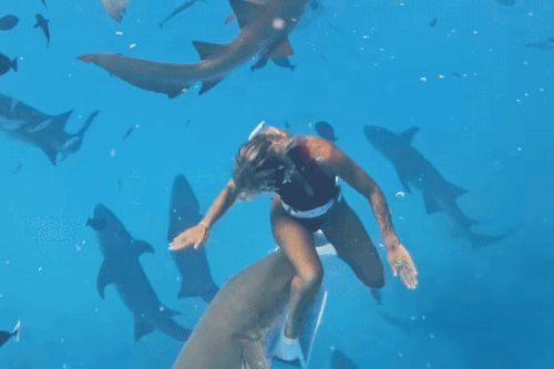 Nữ KOL bị cá mập cắn trước camera