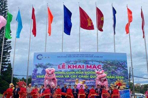 Đặc sắc 'Không gian hoa đường phố' và 'Triển lãm hoa, cây cảnh quốc tế'