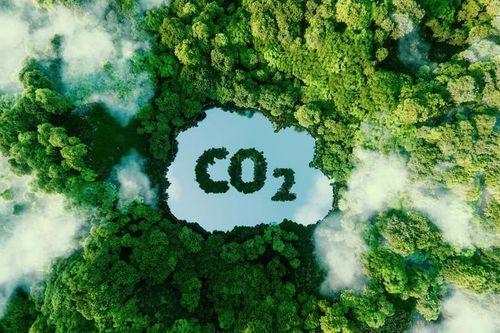 Thí điểm tín chỉ carbon từ xe điện: Hướng tới phát thải thấp