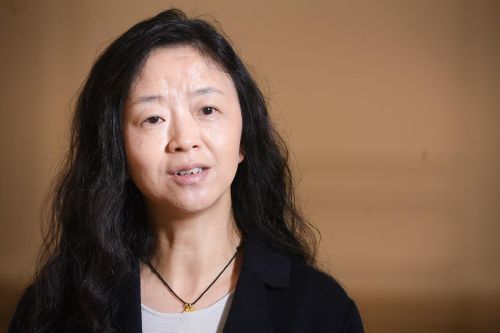 Giáo sư Yafang Cheng: 'Việt Nam cần thúc đẩy năng lượng xanh và giảm carbon để giảm ô nhiễm không khí'