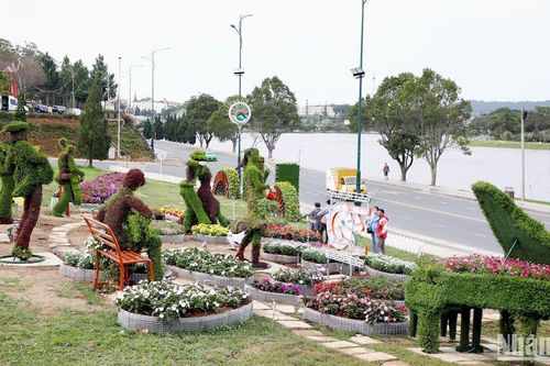 Các không gian hoa đường phố tại Festival Hoa Đà Lạt chính thức khai trương