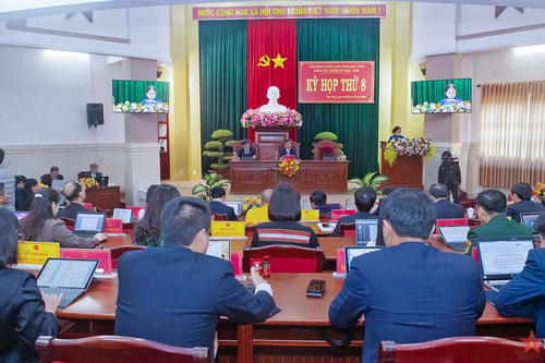 Tỉnh Kon Tum đặt mục tiêu trồng mới gần 1.580ha sâm Ngọc Linh trong năm 2025