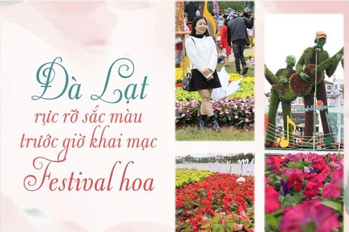 Đà Lạt rực rỡ sắc màu trước giờ khai mạc Festival hoa