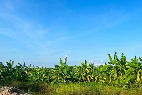 Chậm tiến độ triển khai, 44 dự án ở Hải Dương đề xuất điều chỉnh