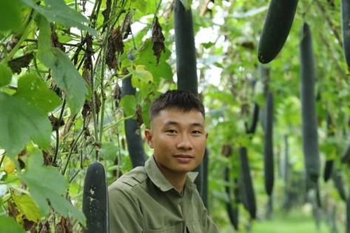 Cải tạo đất hoang trồng bí, chàng trai trẻ lãi 400 triệu đồng/năm