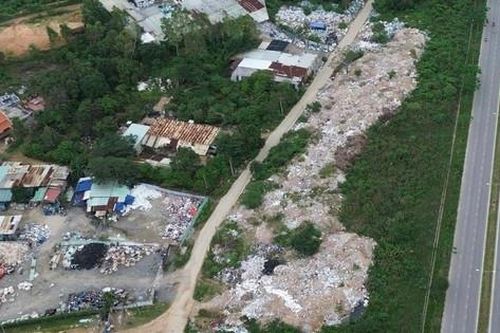 Bãi xà bần 'khủng' tự phát ở Đà Nẵng