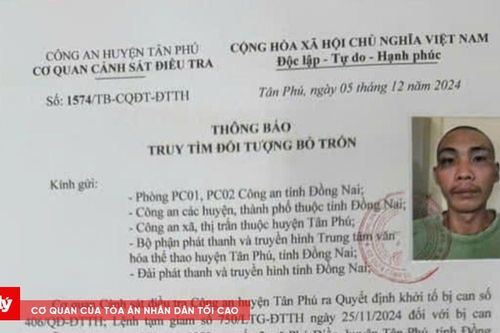 Lợi dụng đi khám bệnh, đối tượng trốn khỏi nơi giam giữ