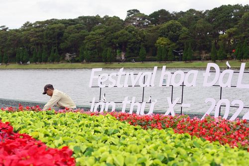 Đường phố Đà Lạt ngập sắc màu trước khai mạc Festival hoa năm 2024