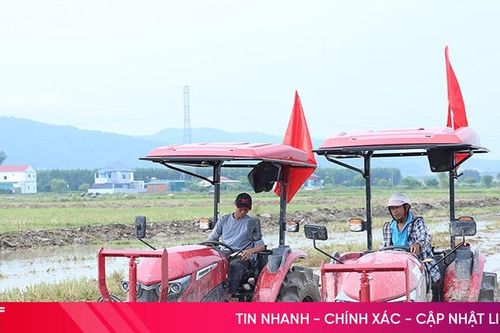Tuân thủ lịch thời vụ, sử dụng bộ giống chất lượng cho vụ xuân 2025