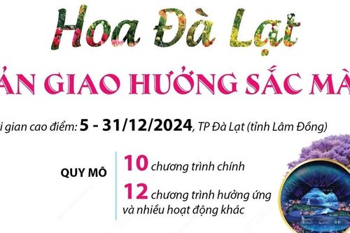 Festival hoa Đà Lạt lần thứ 10 năm 2024 - Bản giao hưởng sắc màu