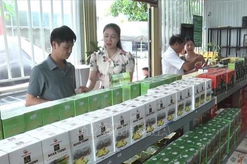 Đột phá phát triển nông sản chủ lực