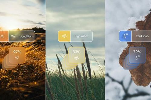 Google công bố mô hình có khả năng vượt trội về dự báo thời tiết