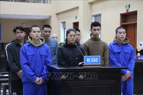Lừa đảo chiếm đoạt tài sản tại Lào, 12 bị cáo bị phạt tù
