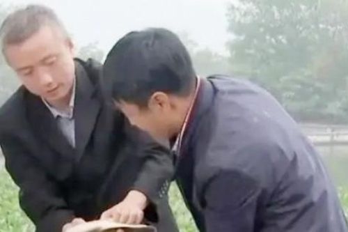 Nuôi 2 loài thiên địch chung một chỗ, tưởng điên rồ ai ngờ kiếm tiền tỉ/năm
